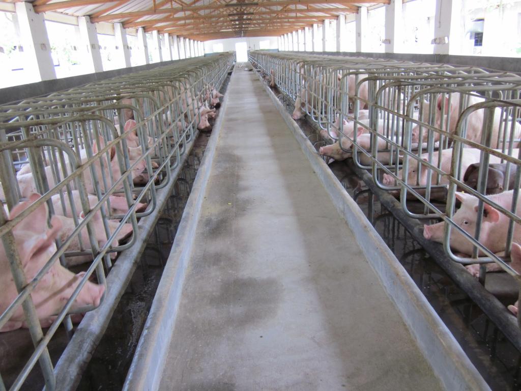 養殖場廢氣處理